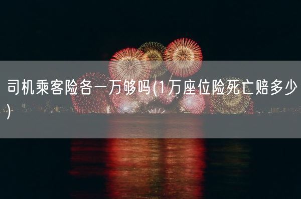 司机乘客险各一万够吗(1万座位险死亡赔多少)(图1)