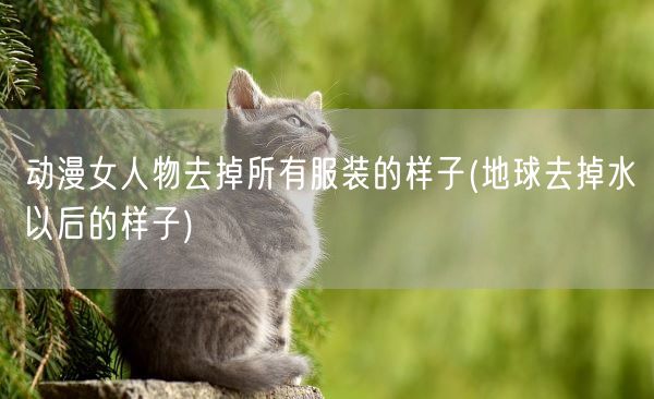 动漫女人物去掉所有服装的样子(地球去掉水以后的样子)(图1)