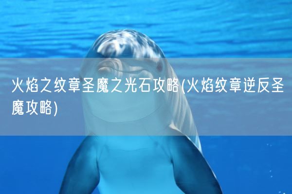 火焰之纹章圣魔之光石攻略(火焰纹章逆反圣魔攻略)(图1)