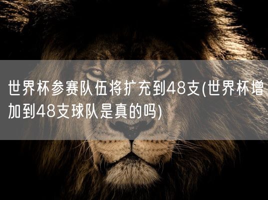 世界杯参赛队伍将扩充到48支(世界杯增加到48支球队是真的吗)(图1)