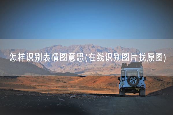 怎样识别表情图意思(在线识别图片找原图)(图1)