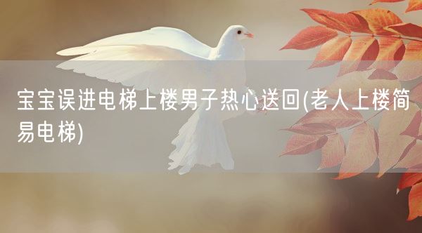 宝宝误进电梯上楼男子热心送回(老人上楼简易电梯)(图1)