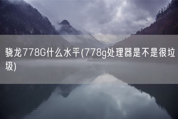 骁龙778G什么水平(778g处理器是不是很垃圾)(图1) 骁龙778G什么水平(778g处理器是不是很垃圾)(图1)