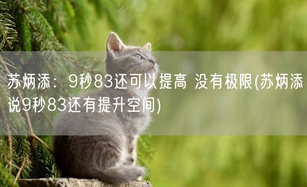 苏炳添：9秒83还可以提高 没有极限(苏炳添说9秒83还有提升空间)(图1)