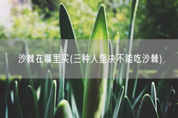 沙棘在哪里买(三种人坚决不能吃沙棘)(图1)