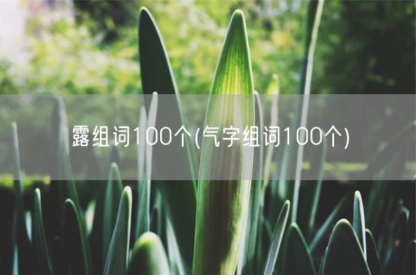 露组词100个(气字组词100个)(图1)