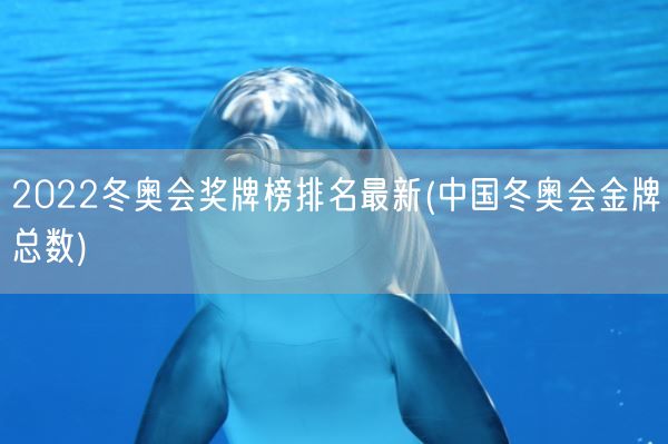 2022冬奥会奖牌榜排名最新(中国冬奥会金牌总数)(图1)