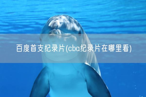 百度首支纪录片(cba纪录片在哪里看)(图1)