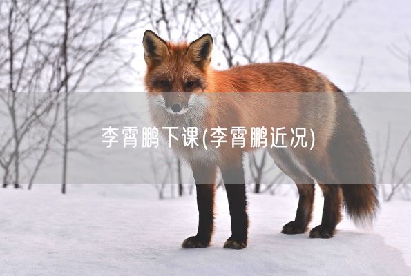 李霄鹏下课(李霄鹏近况)(图1)