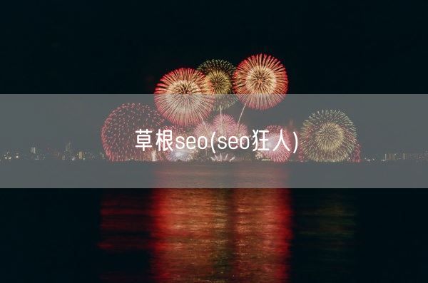 草根seo(seo狂人)(图1)