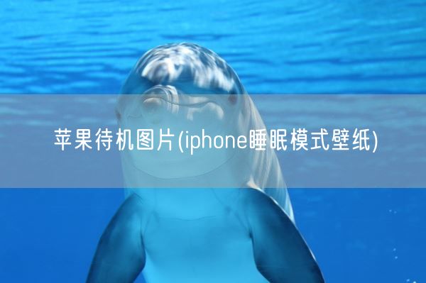 苹果待机图片(iphone睡眠模式壁纸)(图1)