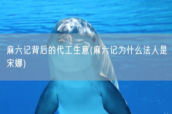 麻六记背后的代工生意(麻六记为什么法人是宋娜)(图1)