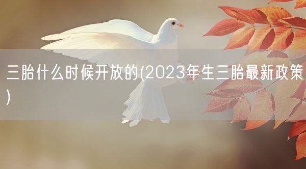 三胎什么时候开放的(2023年生三胎最新政策)(图1)