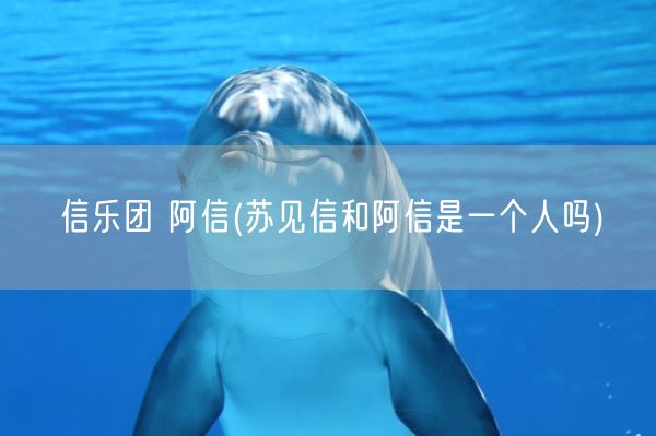 信乐团 阿信(苏见信和阿信是一个人吗)(图1) 信乐团 阿信(苏见信和阿信是一个人吗)(图1)