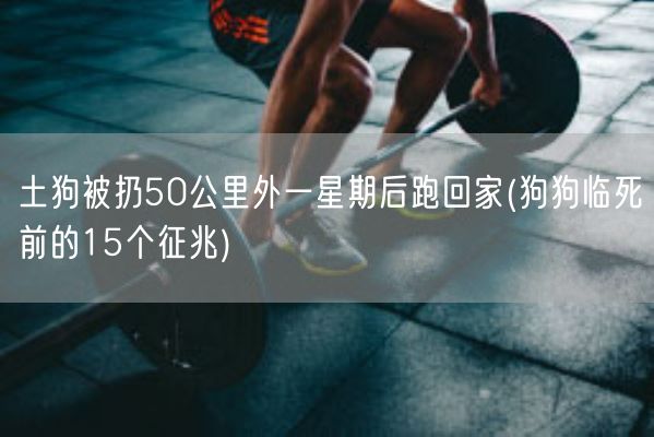 土狗被扔50公里外一星期后跑回家(狗狗临死前的15个征兆)(图1)