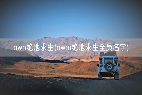 awn绝地求生(awm绝地求生全员名字)(图1)