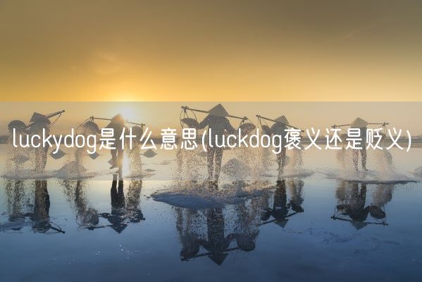 luckydog是什么意思(luckdog褒义还是贬义)(图1)