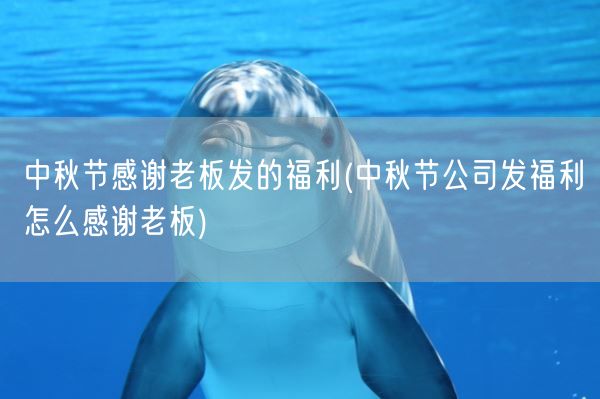 中秋节感谢老板发的福利(中秋节公司发福利怎么感谢老板)(图1)