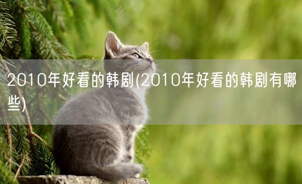 2010年好看的韩剧(2010年好看的韩剧有哪些)(图1)