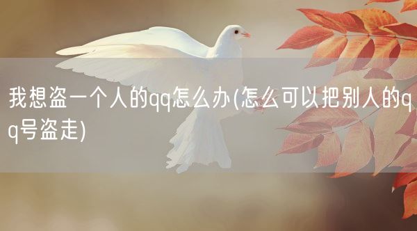 我想盗一个人的qq怎么办(怎么可以把别人的qq号盗走)(图1)