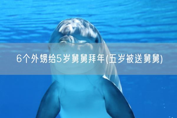 6个外甥给5岁舅舅拜年(五岁被送舅舅)(图1)