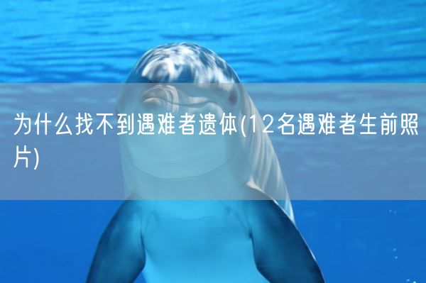 为什么找不到遇难者遗体(12名遇难者生前照片)(图1)