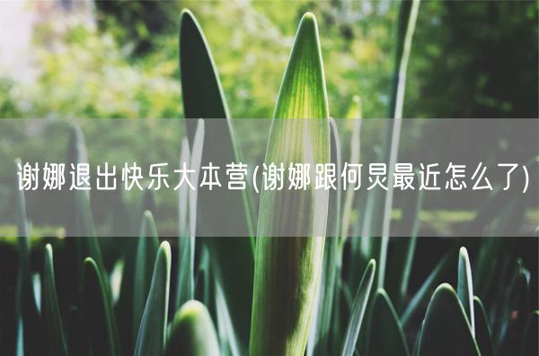 谢娜退出快乐大本营(谢娜跟何炅最近怎么了)(图1)