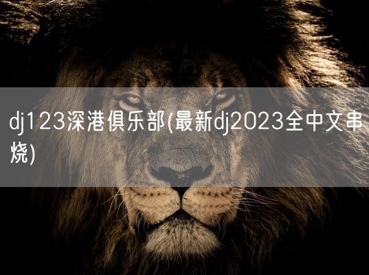 dj123深港俱乐部(最新dj2023全中文串烧)(图1)