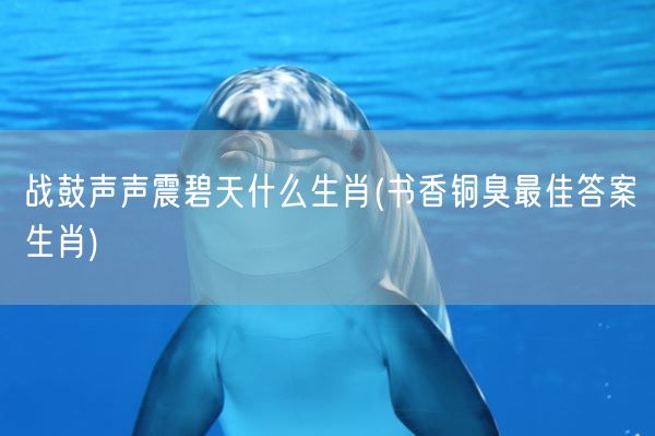 战鼓声声震碧天什么生肖(书香铜臭最佳答案生肖)(图1)