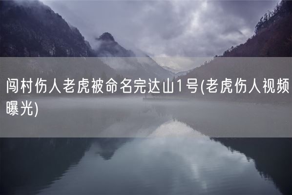 闯村伤人老虎被命名完达山1号(老虎伤人视频曝光)(图1)