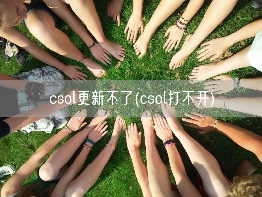 csol更新不了(csol打不开)(图1)