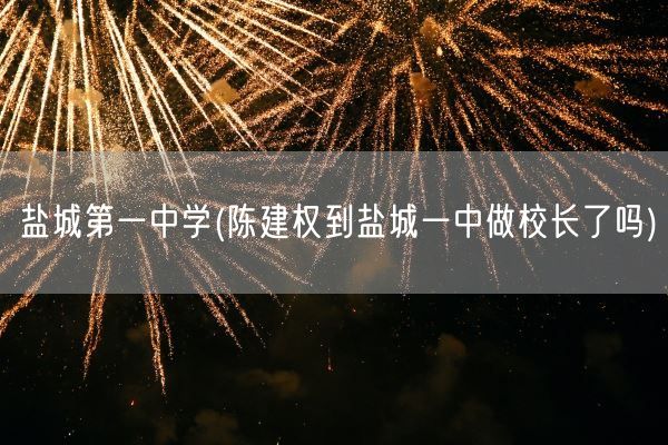 盐城第一中学(陈建权到盐城一中做校长了吗)(图1)