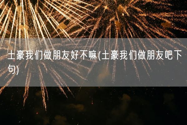 土豪我们做朋友好不嘛(土豪我们做朋友吧下句)(图1)