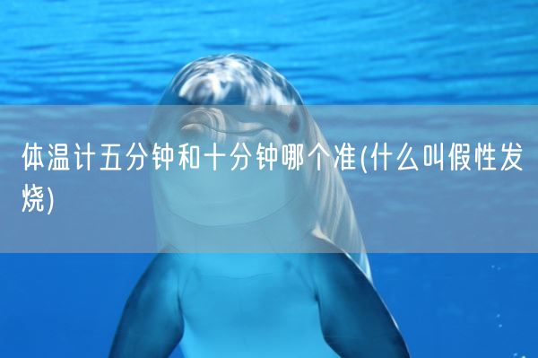 体温计五分钟和十分钟哪个准(什么叫假性发烧)(图1)