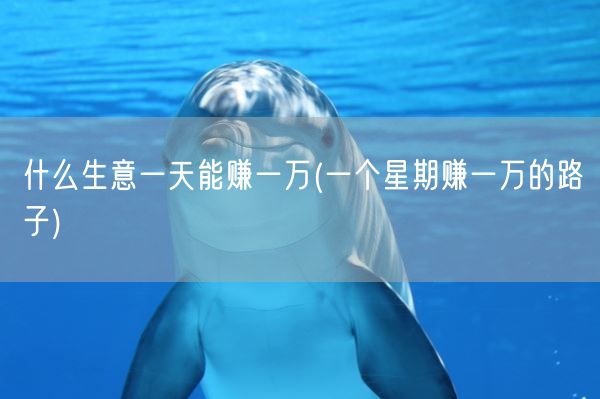 什么生意一天能赚一万(一个星期赚一万的路子)(图1)