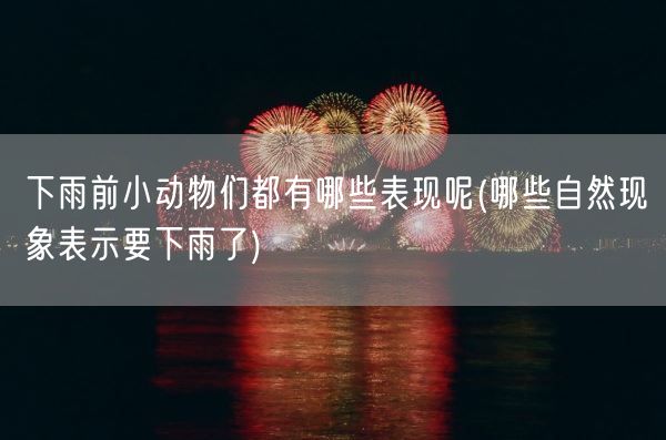 下雨前小动物们都有哪些表现呢(哪些自然现象表示要下雨了)(图1)