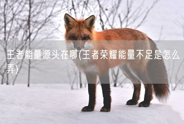 王者能量源头在哪(王者荣耀能量不足是怎么弄)(图1) 王者能量源头在哪(王者荣耀能量不足是怎么弄)(图1)