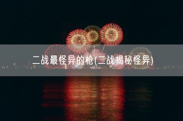 二战最怪异的枪(二战揭秘怪异)(图1)