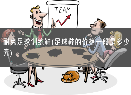 耐克足球训练鞋(足球鞋的价格一般是多少元)(图1) 耐克足球训练鞋(足球鞋的价格一般是多少元)(图1)