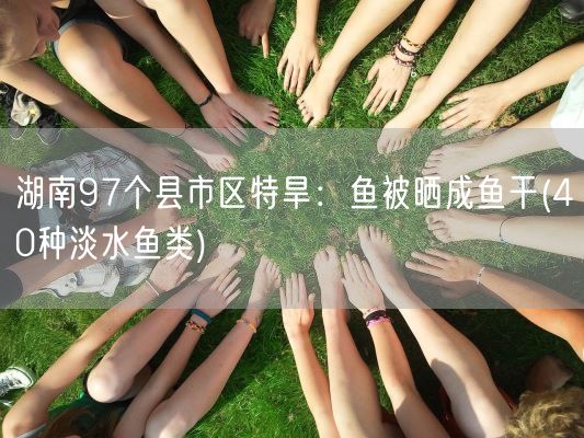 湖南97个县市区特旱：鱼被晒成鱼干(40种淡水鱼类)(图1)