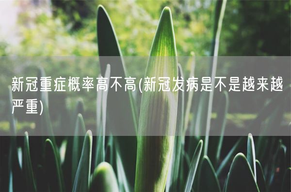 新冠重症概率高不高(新冠发病是不是越来越严重)(图1) 新冠重症概率高不高(新冠发病是不是越来越严重)(图1)