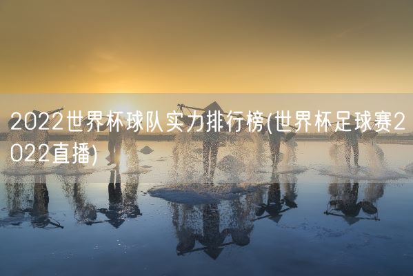 2022世界杯球队实力排行榜(世界杯足球赛2022直播)(图1)
