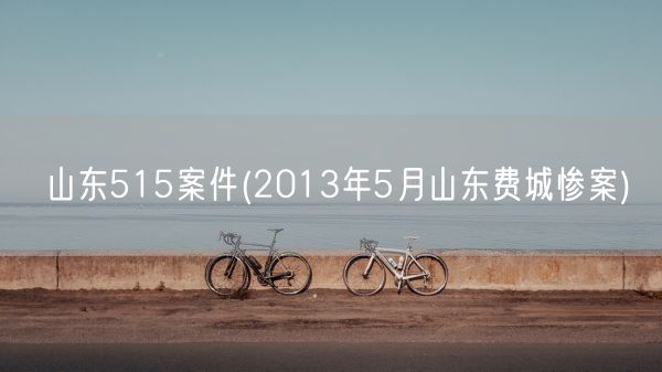 山东515案件(2013年5月山东费城惨案)(图1)