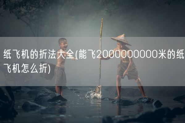 纸飞机的折法大全(能飞2000000000米的纸飞机怎么折)(图1) 纸飞机的折法大全(能飞2000000000米的纸飞机怎么折)(图1)