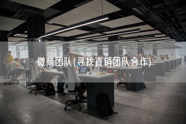 微商团队(寻找直销团队合作)(图1) 微商团队(寻找直销团队合作)(图1)