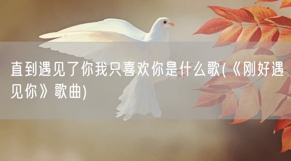 直到遇见了你我只喜欢你是什么歌(《刚好遇见你》歌曲)(图1)