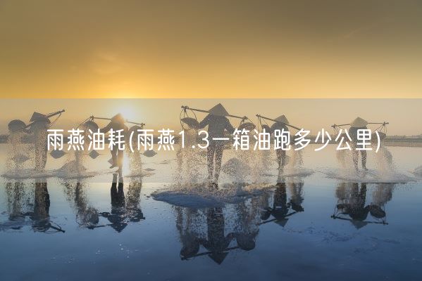 雨燕油耗(雨燕1.3一箱油跑多少公里)(图1)