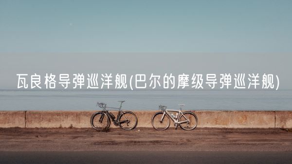 瓦良格导弹巡洋舰(巴尔的摩级导弹巡洋舰)(图1)
