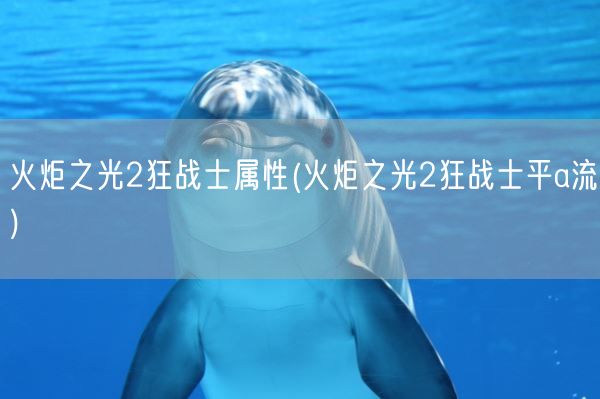 火炬之光2狂战士属性(火炬之光2狂战士平a流)(图1)