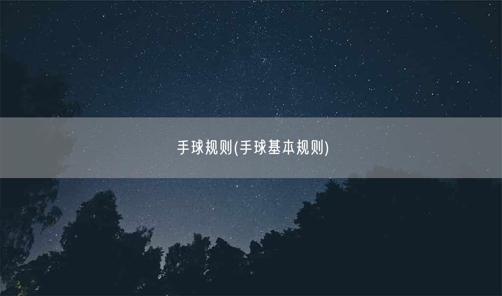 手球规则(手球基本规则)(图1)